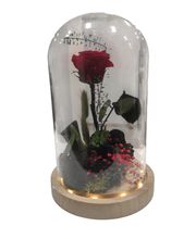 Las Flores de Carlos imagen 7