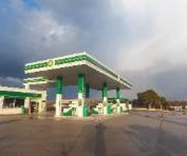 bp imagen 3
