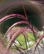 Spirituelle Hypnose Ausbildung Bild 6