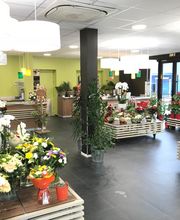 Carrément Fleurs - Fleuriste Montauban Albasud 82 - Livraison de fleurs à domicile image 2