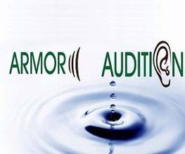 ARMOR AUDITION image 8