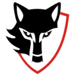 Protectas Sécurité