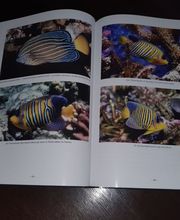 S&L Naturverlag Bild 10