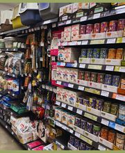 Jardinerie Pontier et Fils Ets image 13