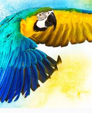 Prisma Druck GmbH Bild 1