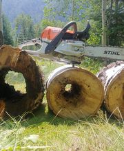 Aspen Tree Service - SavATree image 6