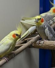 DAS FUTTERHAUS - Bremen-Weserpark Bild 4