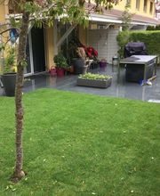 Stern Gartenbau AG Bild 10