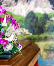 Entreprise Gérard Daudet image 20