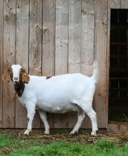 Waldmichelbacher Hof Bild 8