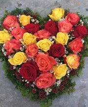 Gärtnerei Egli GmbH Bild 3