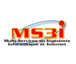 Ms3i image 2