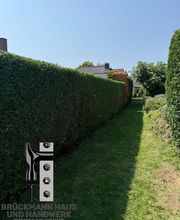 Hecken und Formschnitt