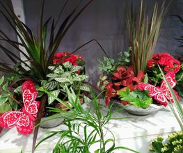 Floristería Imabel imagen 19
