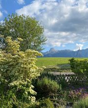 Kummer Gartenbau - Pflanzenoase Bild 4