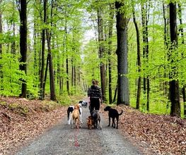 DOG PATROL GmbH Bild 4