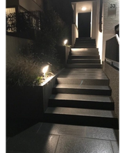 Strauß Willi Bild 4