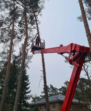 Der Gartenpionier Bild 5