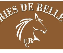 Ecuries de Bellevue image 3