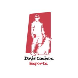 DAVID CASINOS ESPORTS S.L