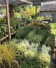 Satsop Landscaping & Nursery image 4