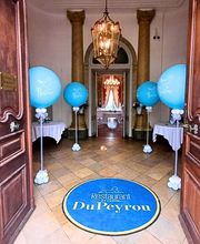 Ambiance Ballons - KidEvents Bild 9