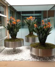 Flamant Rogé SAS image 6