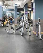 Gimnasio VivaGym Plaza Circular imagen 2