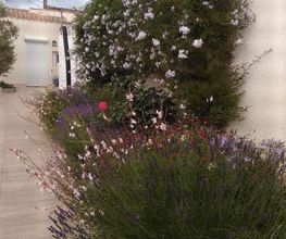 Jardins d'Ile image 16
