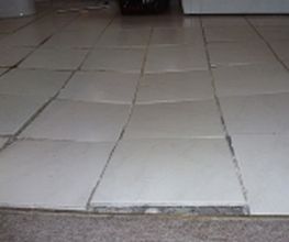 SchadenDienst24 Chemnitz GmbH Bild 1