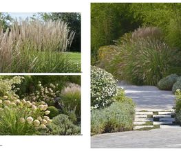 Jardins Intemporels image 15