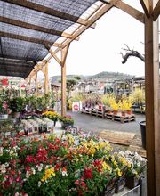 Mr.Bricolage Relais Saint Cyprien image 4