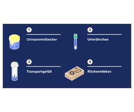 CogniPat GmbH Bild 3
