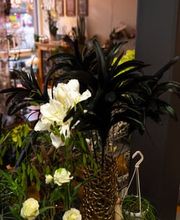 bluemechäller marjo trachsel Bild 3