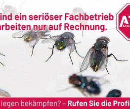 ATOX Schädlingsbekämpfungsfachbetrieb Bild 5
