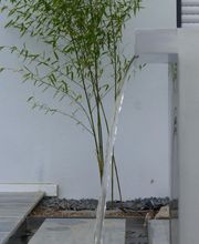 Stark im Garten Bild 26