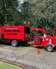 Southeast Tree image 20