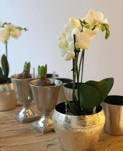 Calonder Blumen Bild 6