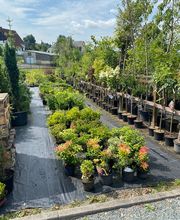 Baumschule Feustel Bild 4