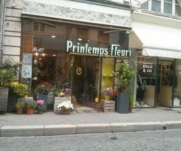 Printemps Fleuri image 3