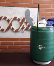 Gallery Cliente