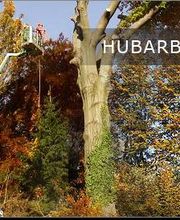 Baumdienst Schaller Bild 3