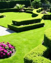 Garten- und Hausmeisterservice Joel Dehmelt