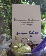 Chaban Marie-Noëlle image 5