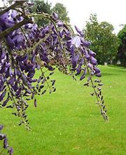 Ambiance Paysage image 5