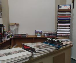 foto_cortinaslupion_2.png