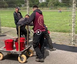 Premius Gussasphalt Bild 10