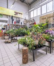 Mr.Bricolage Davezieux image 5