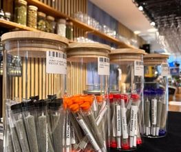 One cbd shop & smoking Lounge Bild 2