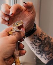 Dublin Veterinary Hospital image 9